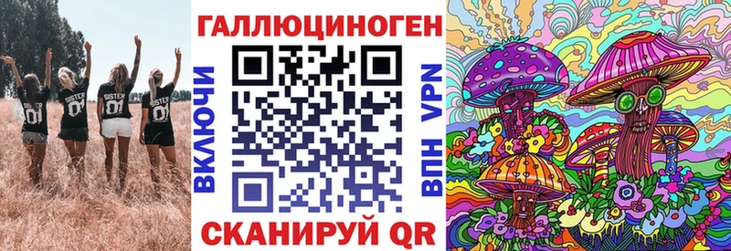 как найти   Борзя  Галлюциногенные грибы Magic Shrooms 
